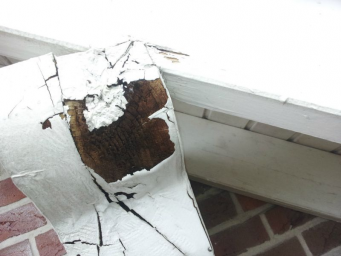 Bitte, lassen Sie es nicht soweit kommen!